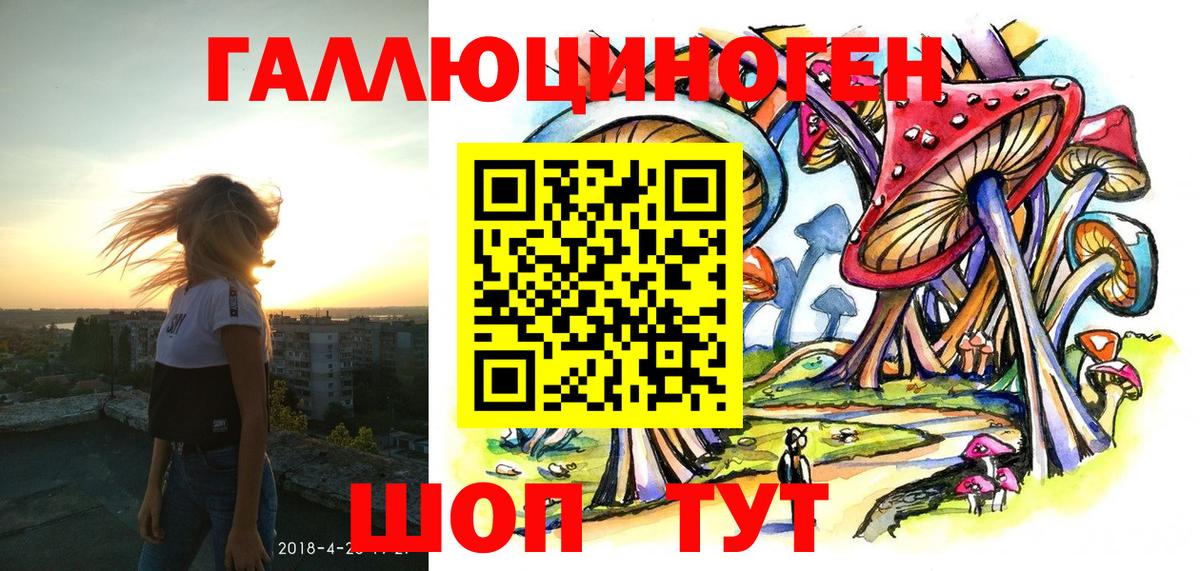 Галлюциногенные грибы Psilocybine cubensis Углич